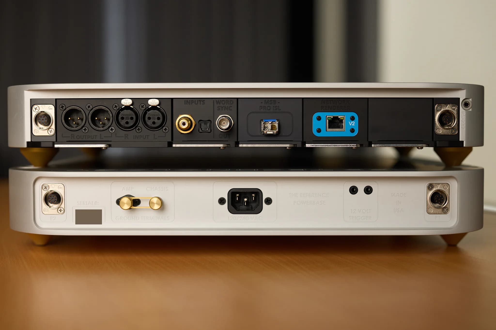 Complete rear panel of an MSB Reference DAC
